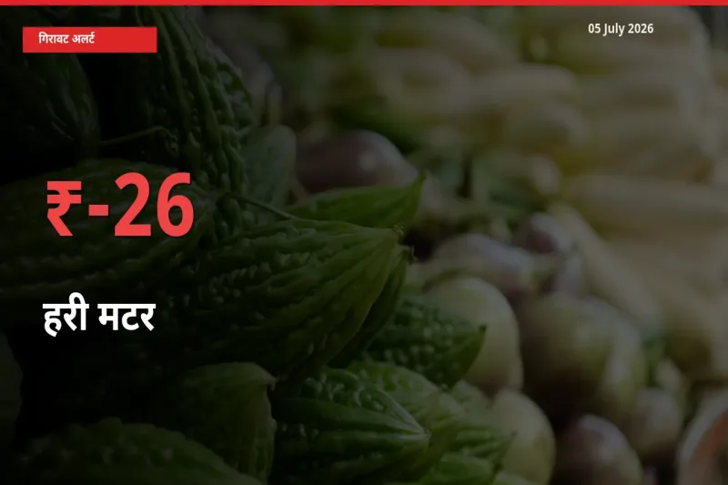 बाज़ार संकेत: हरी मटर के भाव मंडी में 25.78% नीचे