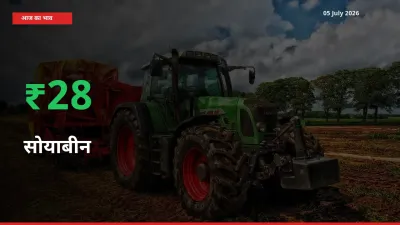 तेज़ तेजी! मंडी में सोयाबीन के दाम 28.16% चढ़े
