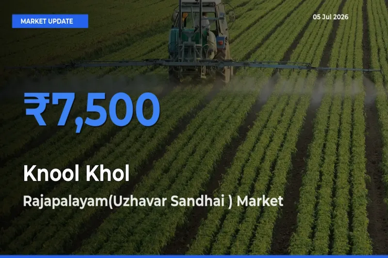 Top Performer! Rajapalayam(Uzhavar Sandhai ) Offers Best Knool Khol Price Today