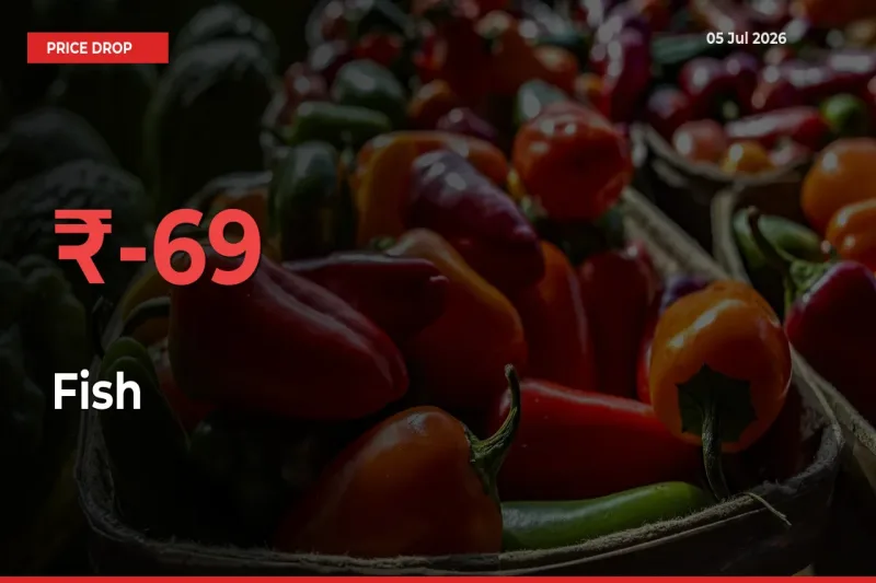 Sudden Shock! Fish Drops 69.46% in 24 Hours at Top Mandis