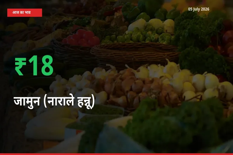 किसानों के लिए खुशखबरी! स्थानीय मंडी में जामुन (नाराले हन्नू) 18% उछला