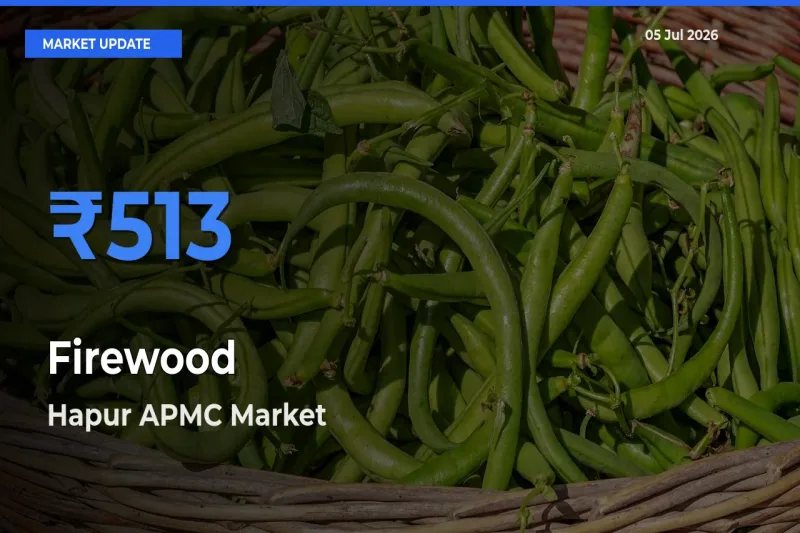 Hapur APMC Offers ₹513 – Highest Firewood Rate Today