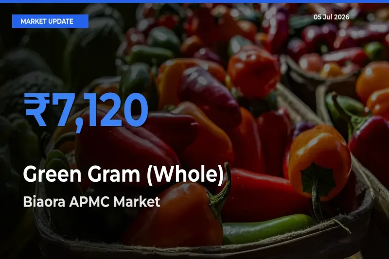 Farmers Prefer Biaora APMC as Green Gram (Whole) Hits Highest Rate
