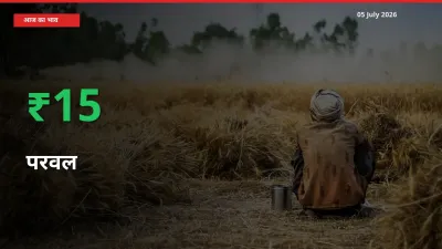05 July अपडेट: परवल के दाम मंडी में 15.01% उछले