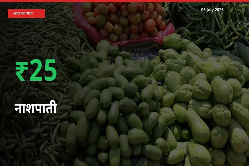 नाशपाती के दाम प्रमुख मंडी में 24.85% बढ़े, 24 घंटे में बड़ा बदलाव