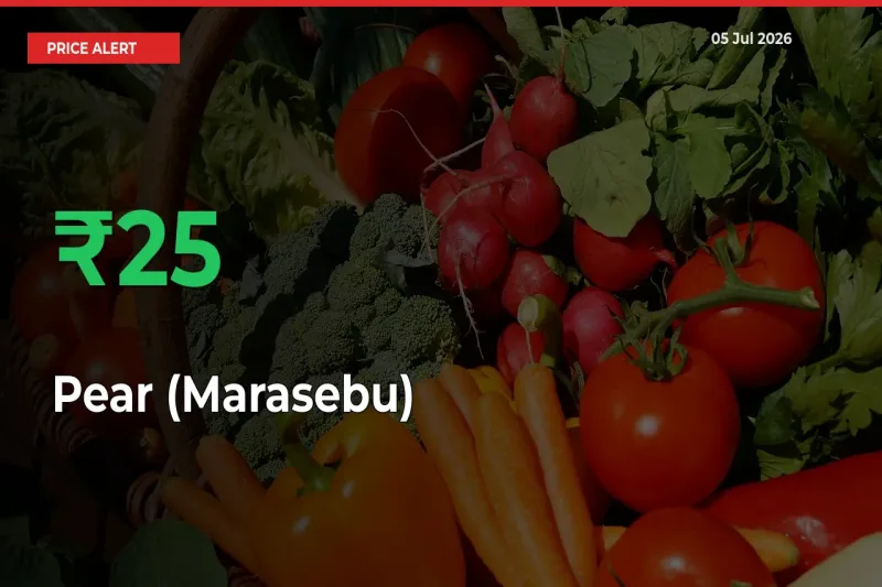 Pear (Marasebu) Mandi Rate Today: Prices Jump 24.85% at Market
