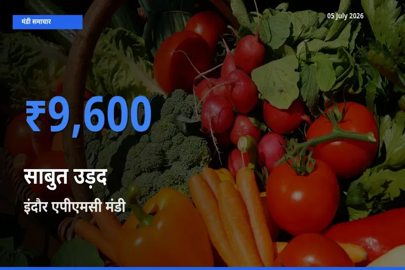 05 July अपडेट: साबुत उड़द के सबसे ऊँचे दाम इंदौर एपीएमसी मंडी में
