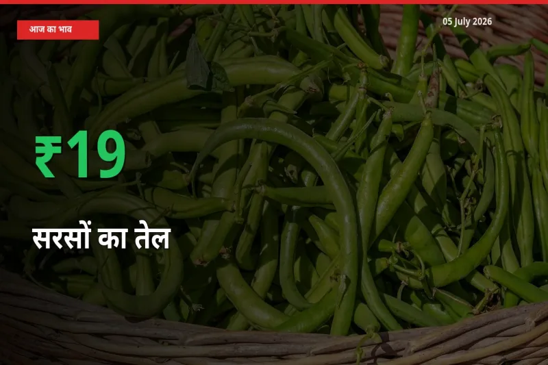 किसानों के लिए खुशखबरी! स्थानीय मंडी में सरसों का तेल 18.71% उछला