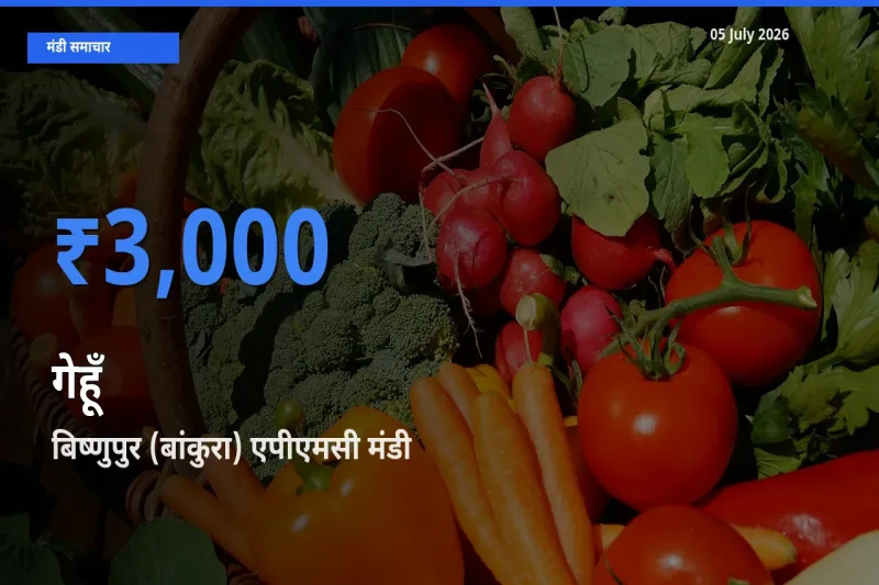 05 July अपडेट: गेहूँ के सबसे ऊँचे दाम बिष्णुपुर (बांकुरा) एपीएमसी मंडी में