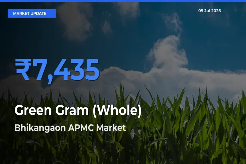 Bhikangaon APMC Tops Green Gram (Whole) Mandi Rates Today