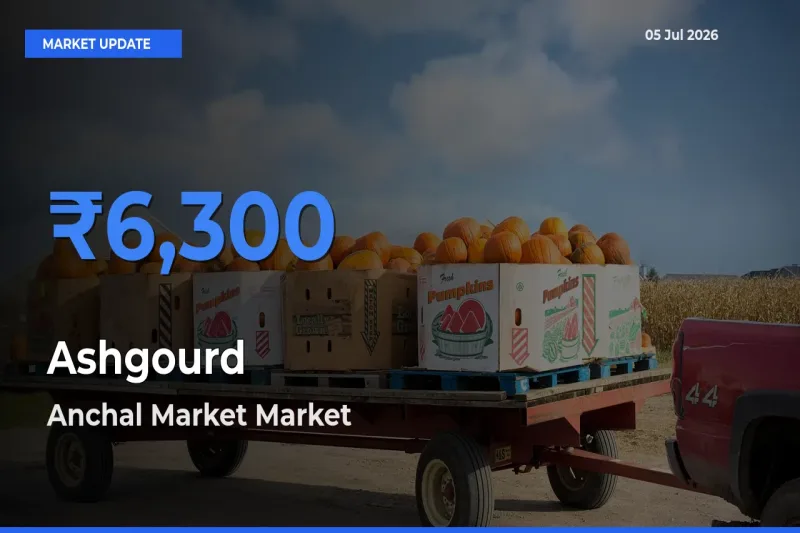 Ashgourd Mandi Rate Today: Anchal Market Tops the List