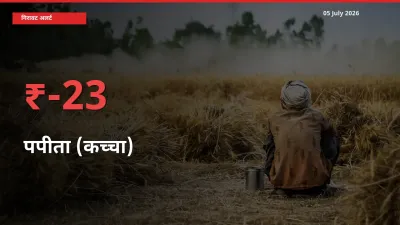 अचानक झटका! मंडी में पपीता (कच्चा) के दाम 23.16% टूटे