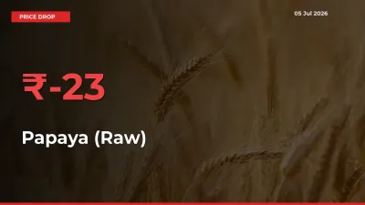 This Mandi Records 23.16% Fall in Papaya (Raw) Prices