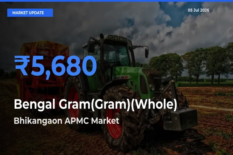 Bhikangaon APMC Emerges as Top Mandi for Bengal Gram(Gram)(Whole) Prices Today