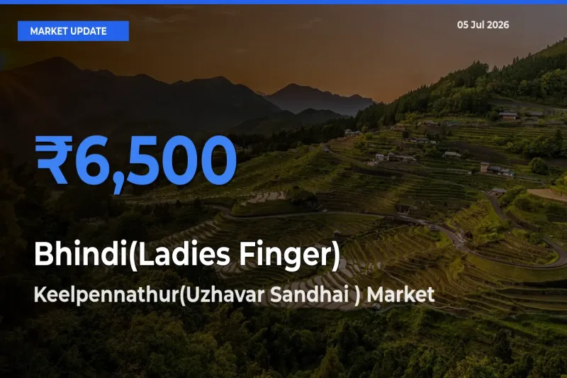 Keelpennathur(Uzhavar Sandhai ) Emerges as Top Mandi for Bhindi(Ladies Finger) Prices Today
