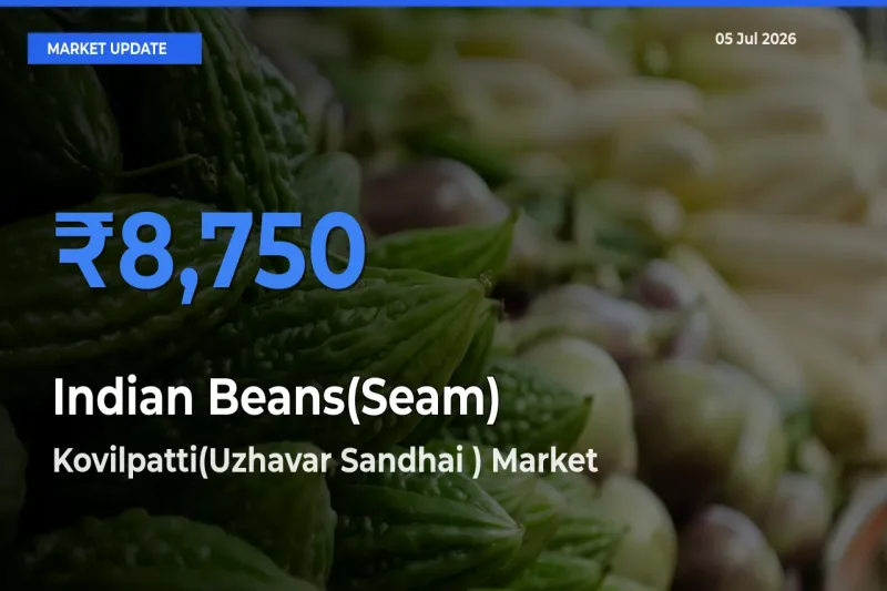 Kovilpatti(Uzhavar Sandhai ) Offers ₹8,750 – Highest Indian Beans(Seam) Rate Today