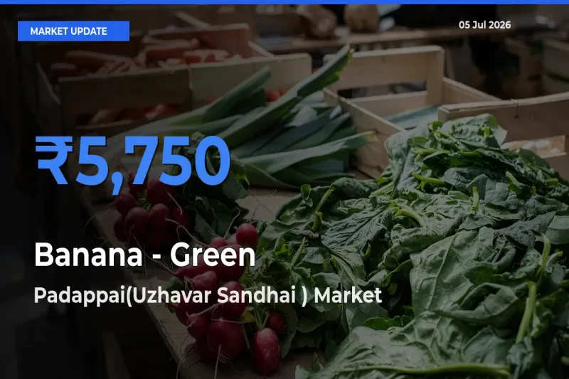 Padappai(Uzhavar Sandhai ) Emerges as Top Mandi for Banana - Green Prices Today