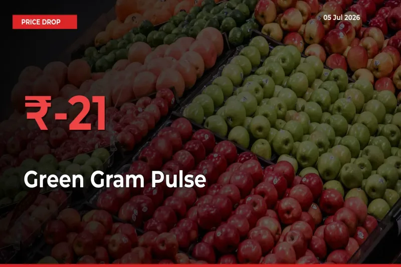 This Mandi Records 20.83% Fall in Green Gram Pulse Prices