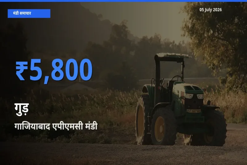आज गुड़ के सबसे ज़्यादा दाम गाजियाबाद एपीएमसी मंडी में दर्ज