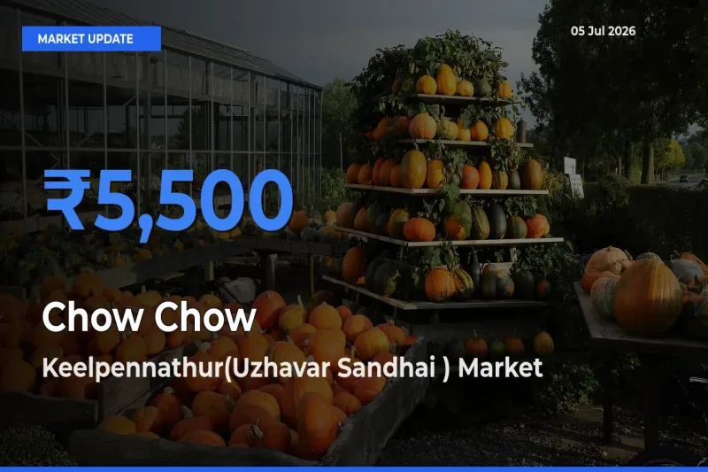 Keelpennathur(Uzhavar Sandhai ) Emerges as Top Mandi for Chow Chow Prices Today