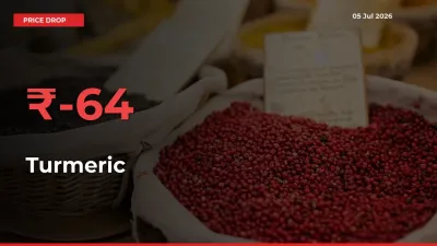 This Mandi Records 63.54% Fall in Turmeric Prices