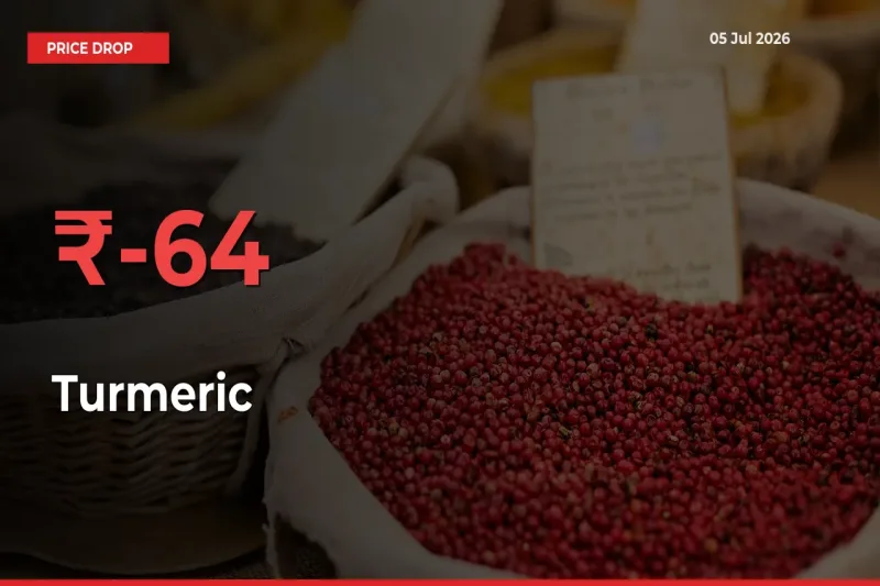 This Mandi Records 63.54% Fall in Turmeric Prices