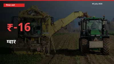 05 July अपडेट: ग्वार के दाम मंडी में 15.97% गिरे