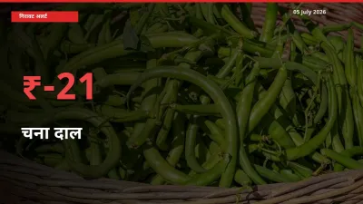 बाज़ार संकेत: चना दाल के भाव मंडी में 21.25% नीचे