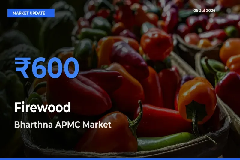 Firewood Mandi Rate Today: Bharthna APMC Tops the List