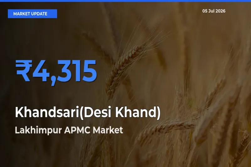 Lakhimpur APMC Tops Khandsari(Desi Khand) Rates – July 05 Market Update