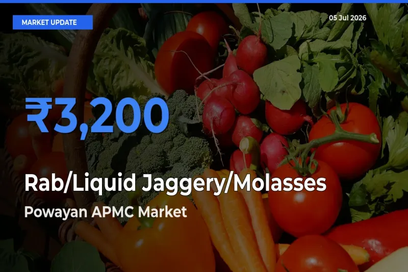 Rab/Liquid Jaggery/Molasses Mandi Rate Today: Powayan APMC Tops the List