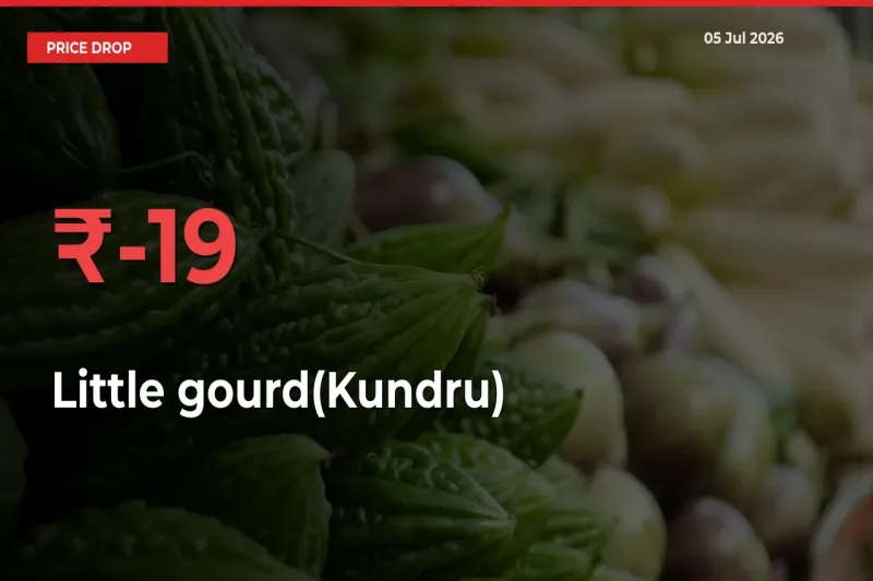 19.21% Drop in Little gourd(Kundru) Prices – Mandi Sees Sudden Fall