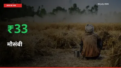 आज का मंडी भाव: मौसंबी के दाम मंडी में 33.48% ऊपर