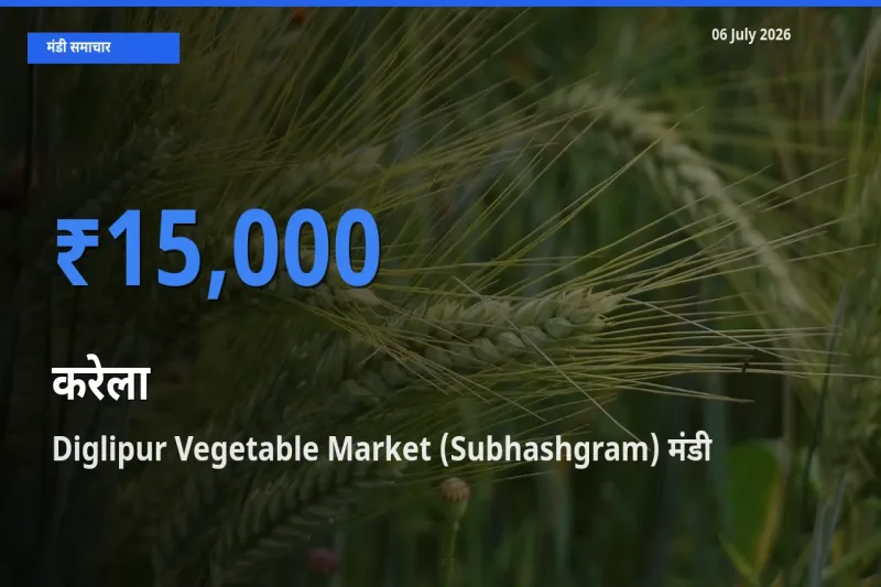 किसानों की पसंद बना Diglipur Vegetable Market (Subhashgram), करेला के सबसे अच्छे दाम