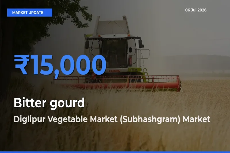 Diglipur Vegetable Market (Subhashgram) Tops Bitter gourd Mandi Rates Today