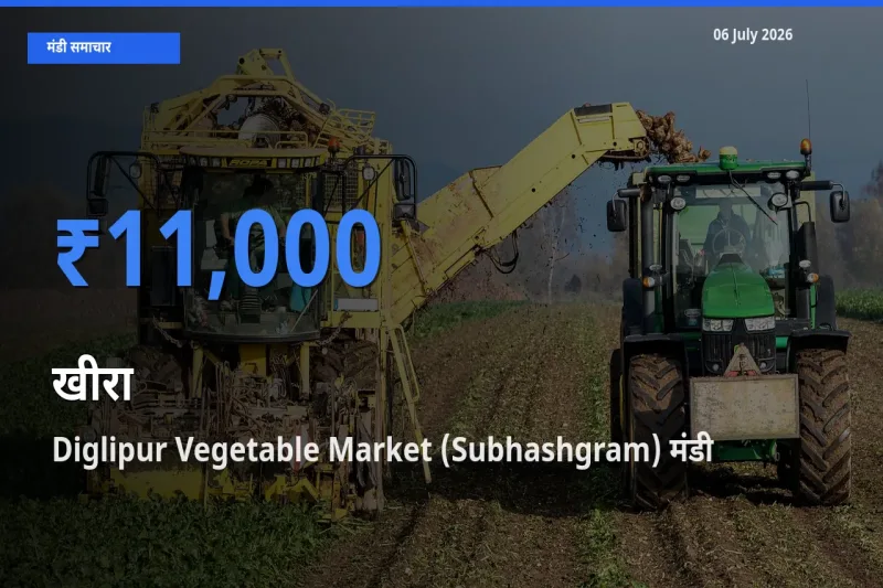 आज खीरा के सबसे ज़्यादा दाम Diglipur Vegetable Market (Subhashgram) मंडी में दर्ज