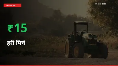 बाज़ार संकेत: हरी मिर्च के भाव मंडी में 15.15% ऊपर