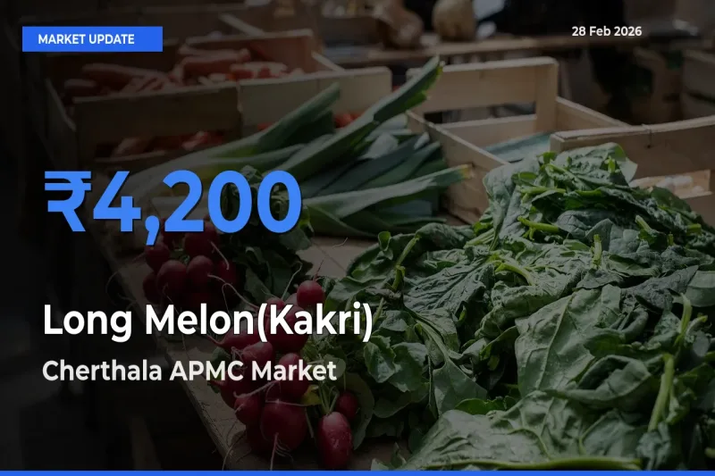 Cherthala APMC Emerges as Top Mandi for Long Melon(Kakri) Prices Today