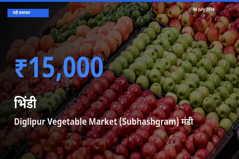 आज भिंडी के सबसे ऊँचे दाम ₹15,000 Diglipur Vegetable Market (Subhashgram) मंडी में