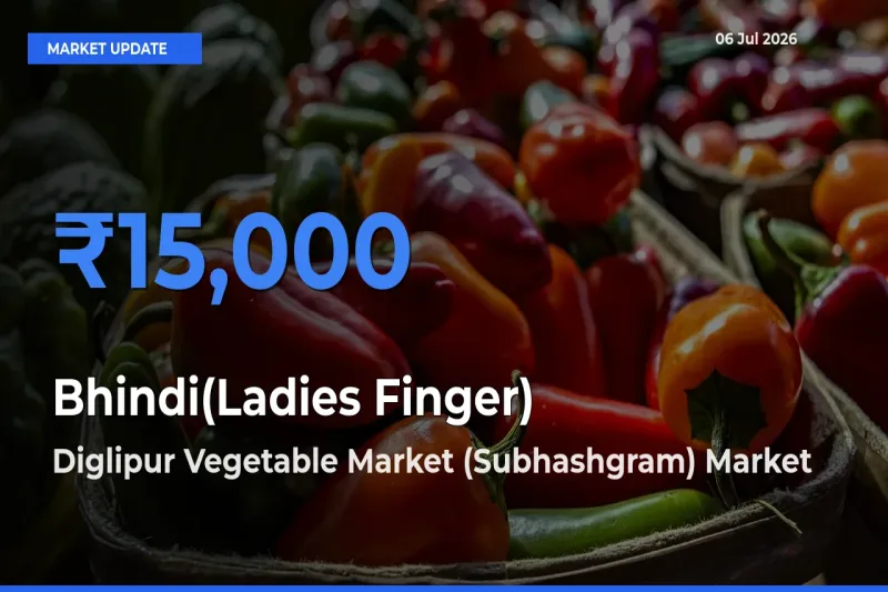 Diglipur Vegetable Market (Subhashgram) Tops Bhindi(Ladies Finger) Mandi Rates Today