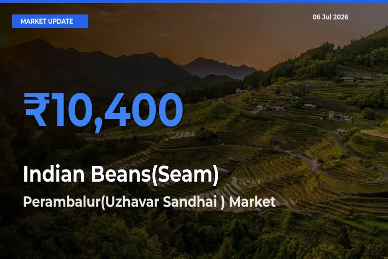 Indian Beans(Seam) Mandi Rate Today: Perambalur(Uzhavar Sandhai ) Tops the List