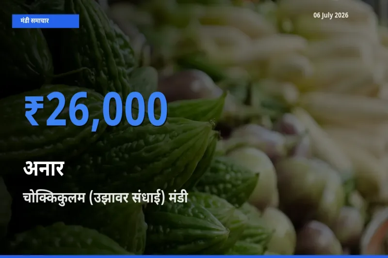 चोक्किकुलम (उझावर संधाई) मंडी में आज अनार के सबसे ऊँचे दाम दर्ज
