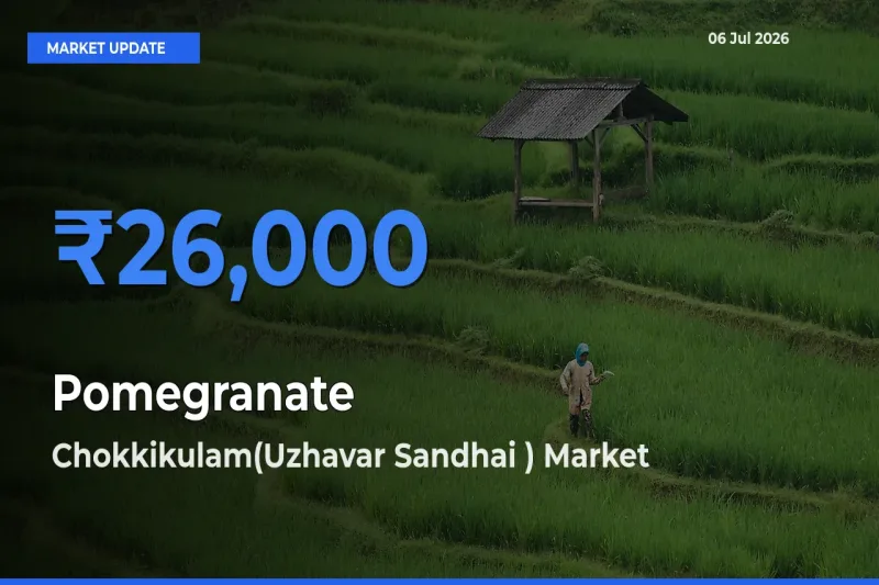 Chokkikulam(Uzhavar Sandhai ) Records Highest ₹26,000 Rate for Pomegranate