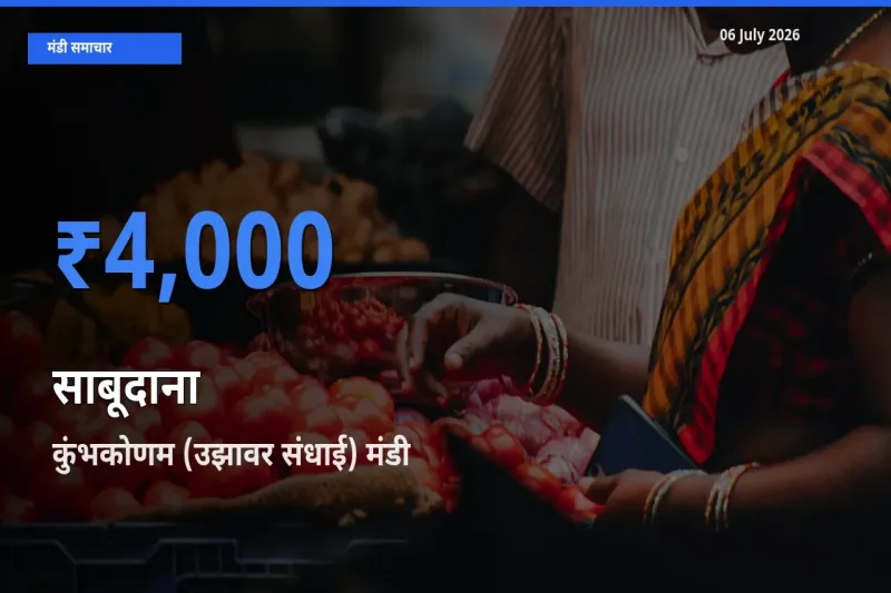 कुंभकोणम (उझावर संधाई) मंडी में आज साबूदाना के सबसे ऊँचे दाम दर्ज