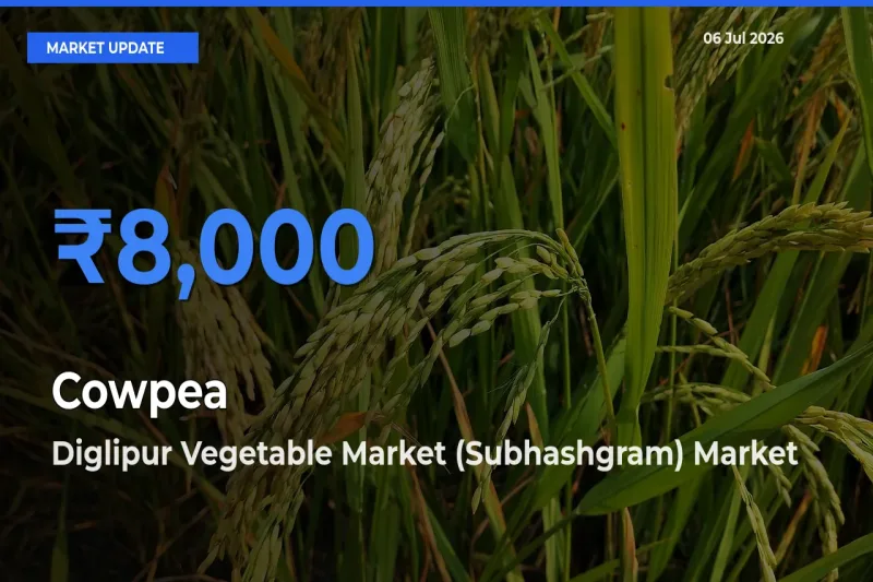 Diglipur Vegetable Market (Subhashgram) Tops Cowpea Rates – July 06 Market Update