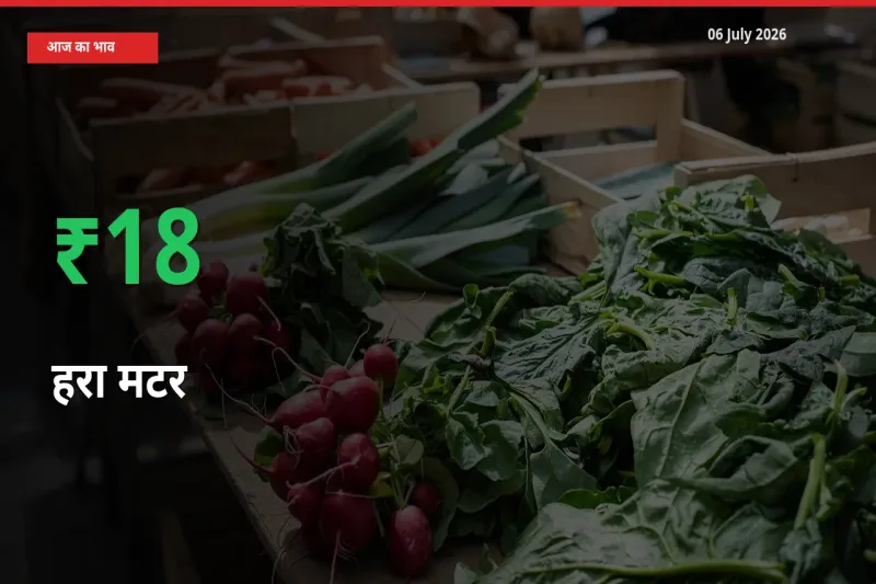 स्थानीय मंडी में हरा मटर के दाम अचानक 18.3% उछले, किसान सतर्क