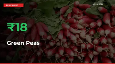 Green Peas Prices Rise 18.3% in a Day at Major Mandis