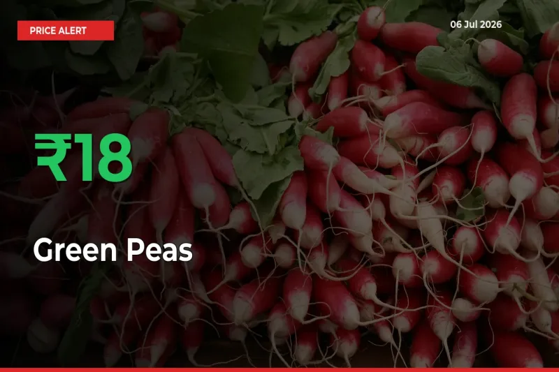 Green Peas Prices Rise 18.3% in a Day at Major Mandis