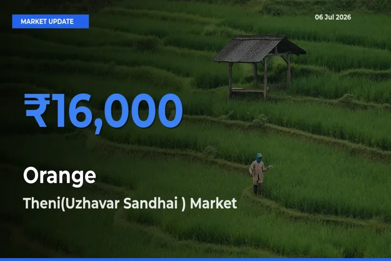 Theni(Uzhavar Sandhai ) Emerges as Top Mandi for Orange Prices Today