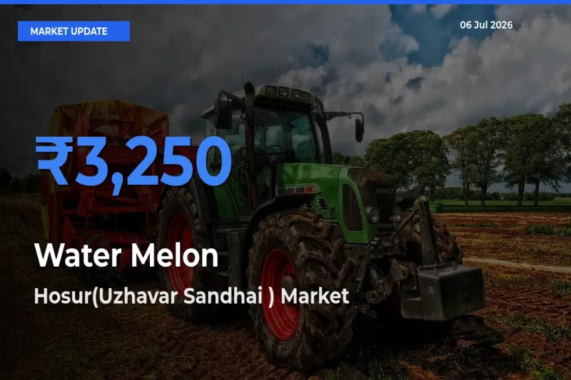 Hosur(Uzhavar Sandhai ) Offers ₹3,250 – Highest Water Melon Rate Today